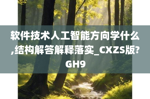 软件技术人工智能方向学什么,结构解答解释落实_CXZS版?GH9