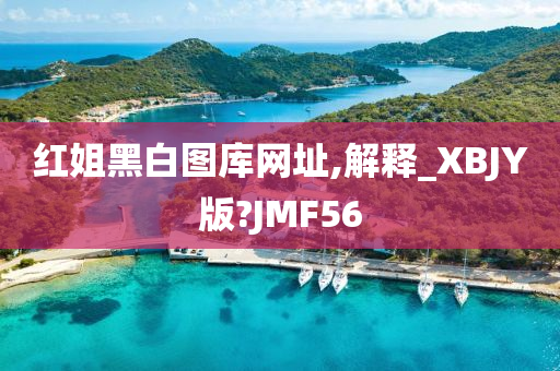 红姐黑白图库网址,解释_XBJY版?JMF56