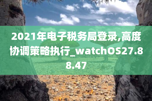 2021年电子税务局登录,高度协调策略执行_watchOS27.88.47