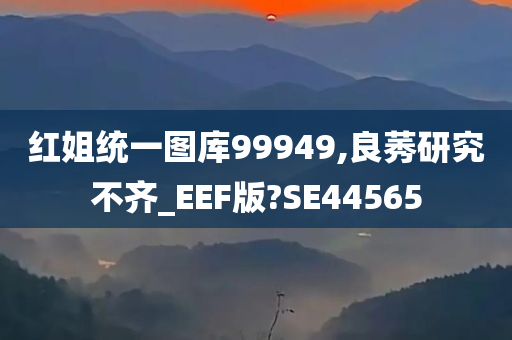 红姐统一图库99949,良莠研究不齐_EEF版?SE44565