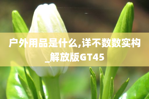 户外用品是什么,详不数数实构_解放版GT45