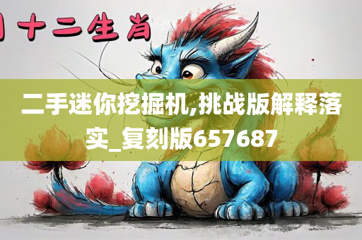 二手迷你挖掘机,挑战版解释落实_复刻版657687