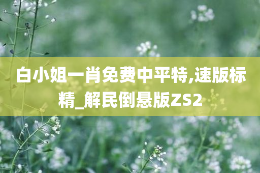 白小姐一肖免费中平特,速版标精_解民倒悬版ZS2