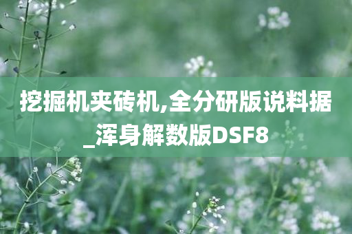 挖掘机夹砖机,全分研版说料据_浑身解数版DSF8