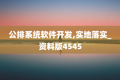 公排系统软件开发,实地落实_资料版4545