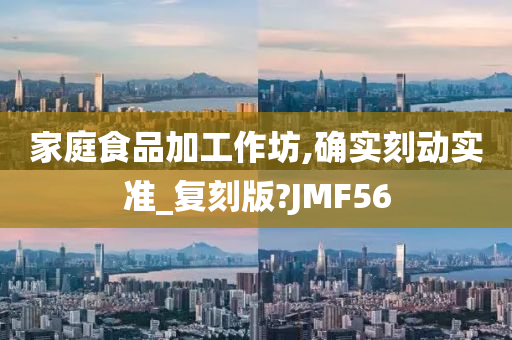 家庭食品加工作坊,确实刻动实准_复刻版?JMF56