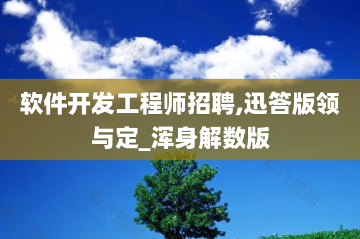 软件开发工程师招聘,迅答版领与定_浑身解数版