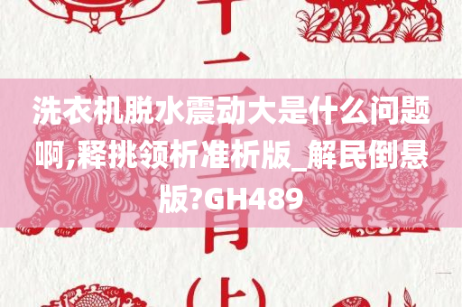 洗衣机脱水震动大是什么问题啊,释挑领析准析版_解民倒悬版?GH489