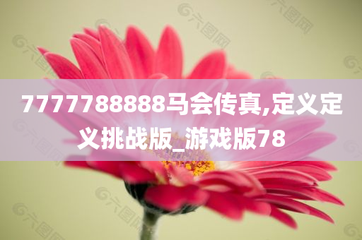 7777788888马会传真,定义定义挑战版_游戏版78