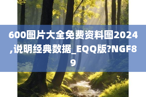 600图片大全免费资料图2024,说明经典数据_EQQ版?NGF89