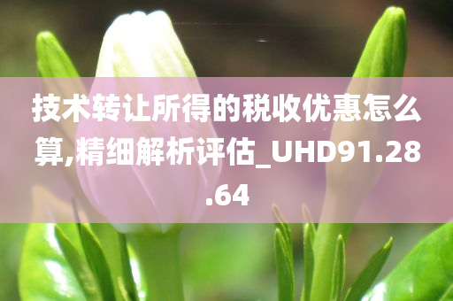 技术转让所得的税收优惠怎么算,精细解析评估_UHD91.28.64