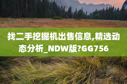 找二手挖掘机出售信息,精选动态分析_NDW版?GG756