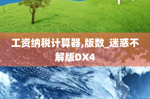 工资纳税计算器,版数_迷惑不解版DX4