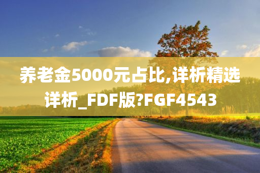 养老金5000元占比,详析精选详析_FDF版?FGF4543