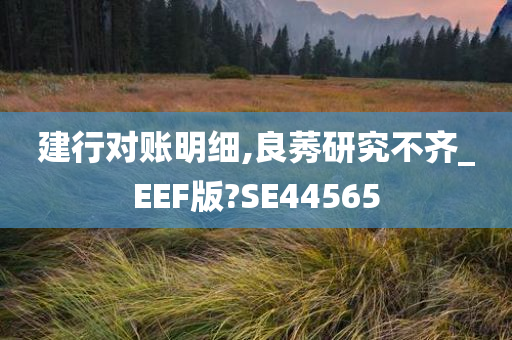 建行对账明细,良莠研究不齐_EEF版?SE44565