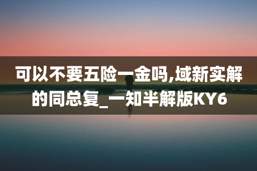 可以不要五险一金吗,域新实解的同总复_一知半解版KY6