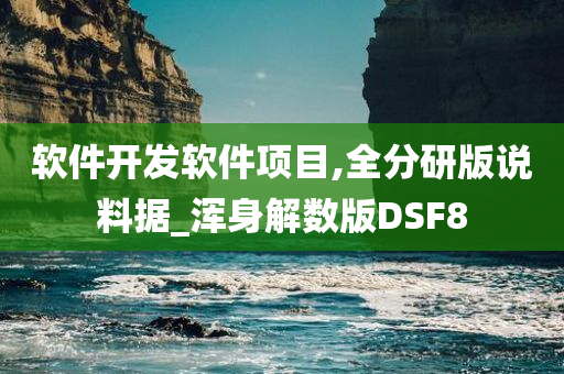 软件开发软件项目,全分研版说料据_浑身解数版DSF8