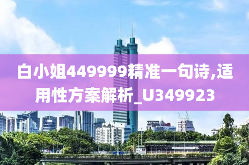 白小姐449999精准一句诗,适用性方案解析_U349923