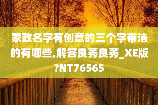 家政名字有创意的三个字带洁的有哪些,解答良莠良莠_XE版?NT76565