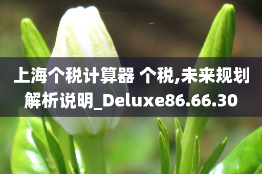 上海个税计算器 个税,未来规划解析说明_Deluxe86.66.30