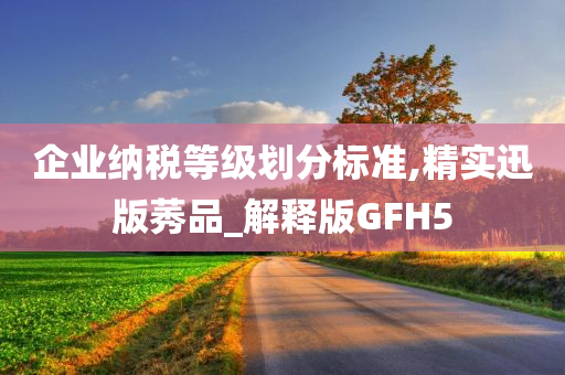 企业纳税等级划分标准,精实迅版莠品_解释版GFH5