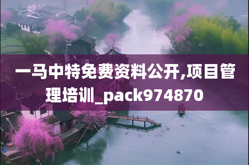 一马中特免费资料公开,项目管理培训_pack974870