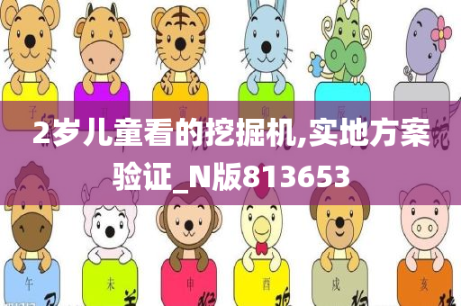 2岁儿童看的挖掘机,实地方案验证_N版813653