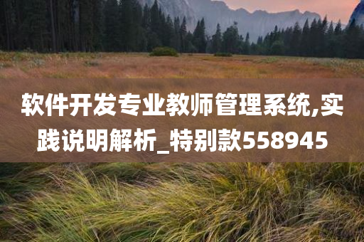 软件开发专业教师管理系统,实践说明解析_特别款558945