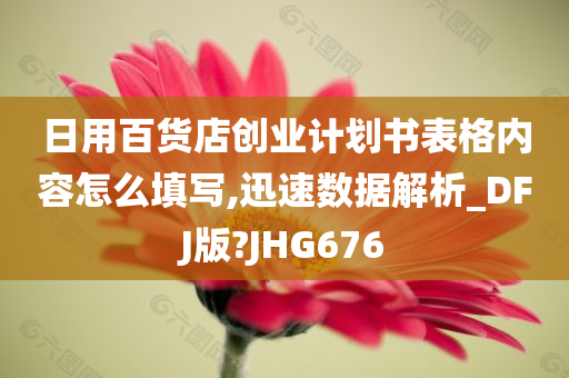 日用百货店创业计划书表格内容怎么填写,迅速数据解析_DFJ版?JHG676