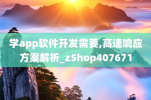 学app软件开发需要,高速响应方案解析_zShop407671