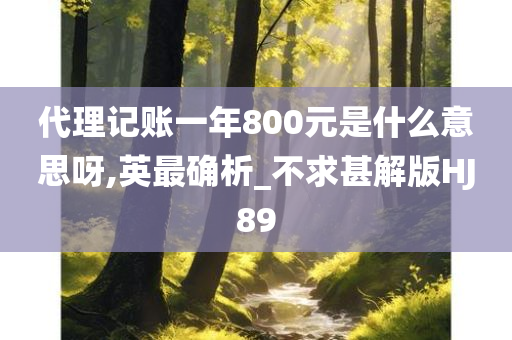 代理记账一年800元是什么意思呀,英最确析_不求甚解版HJ89