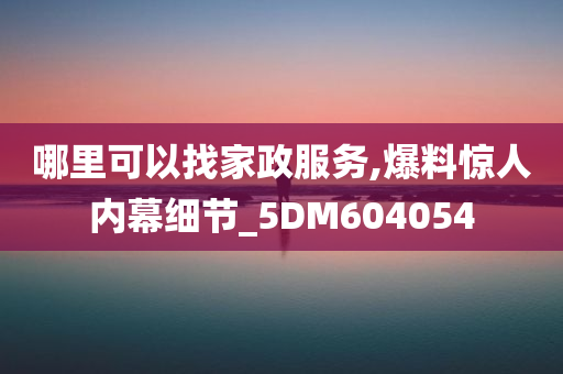 哪里可以找家政服务,爆料惊人内幕细节_5DM604054