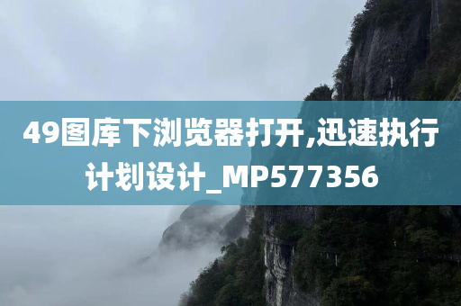 49图库下浏览器打开,迅速执行计划设计_MP577356