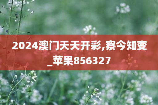 2024澳门天天开彩,察今知变_苹果856327