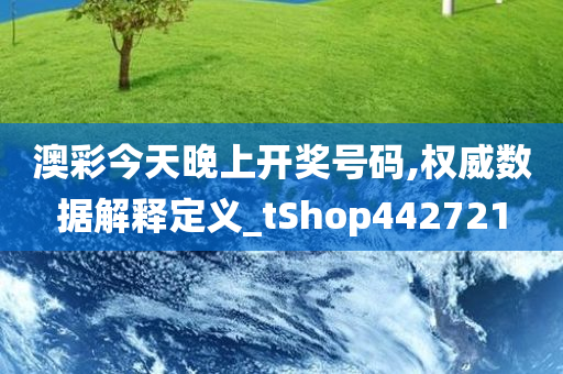 澳彩今天晚上开奖号码,权威数据解释定义_tShop442721