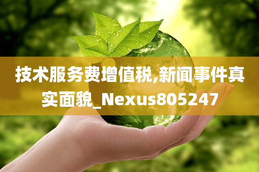 技术服务费增值税,新闻事件真实面貌_Nexus805247