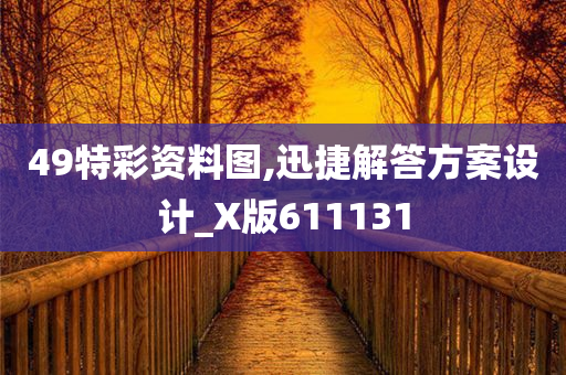 49特彩资料图,迅捷解答方案设计_X版611131