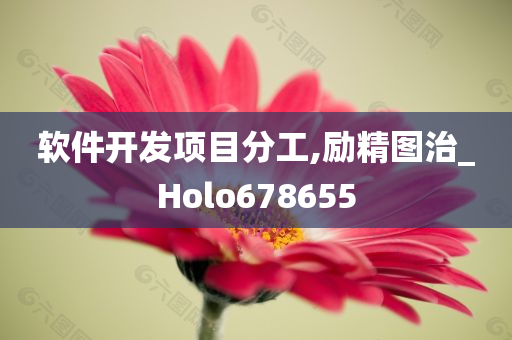 软件开发项目分工,励精图治_Holo678655