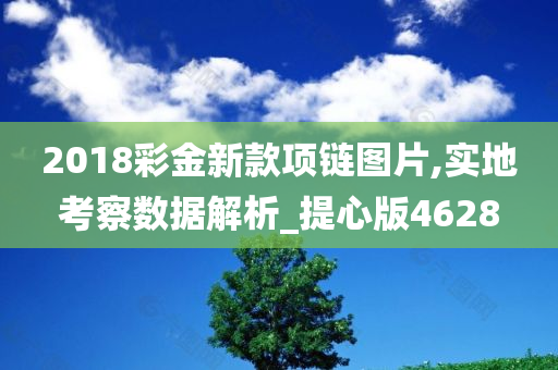 2018彩金新款项链图片,实地考察数据解析_提心版4628