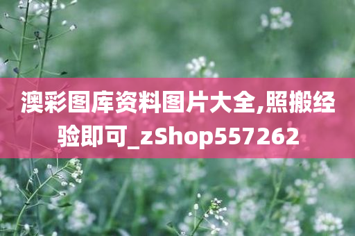 澳彩图库资料图片大全,照搬经验即可_zShop557262