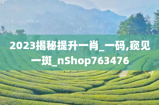 2023揭秘提升一肖_一码,窥见一斑_nShop763476