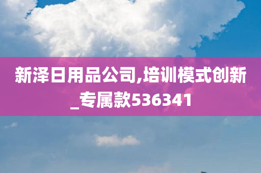 新泽日用品公司,培训模式创新_专属款536341