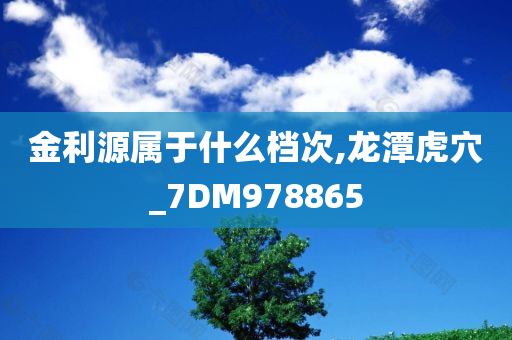 金利源属于什么档次,龙潭虎穴_7DM978865