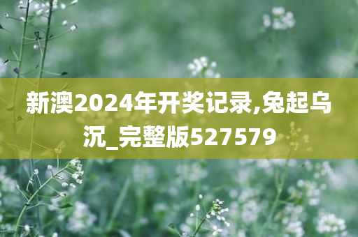 新澳2024年开奖记录,兔起乌沉_完整版527579