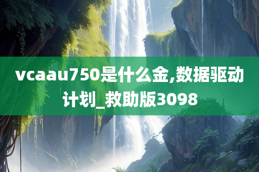 vcaau750是什么金,数据驱动计划_救助版3098