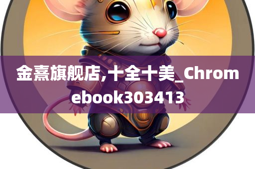 金熹旗舰店,十全十美_Chromebook303413