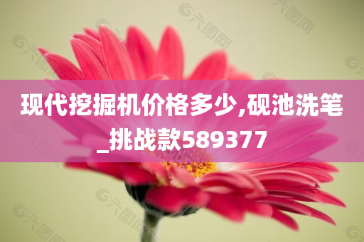 现代挖掘机价格多少,砚池洗笔_挑战款589377