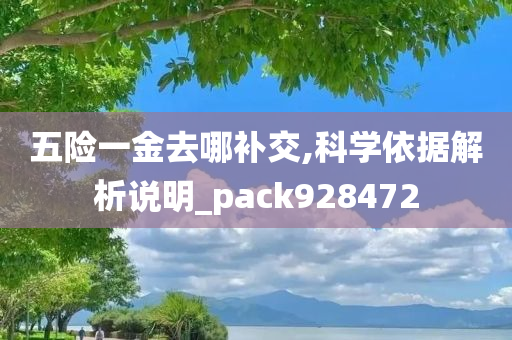 五险一金去哪补交,科学依据解析说明_pack928472