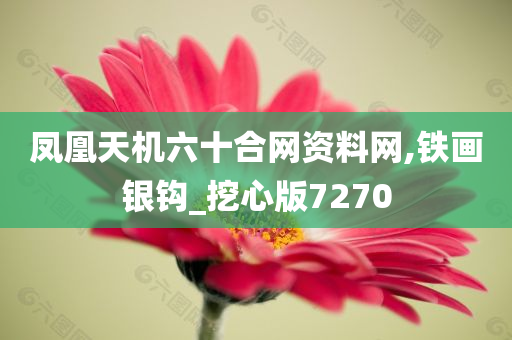 凤凰天机六十合网资料网,铁画银钩_挖心版7270