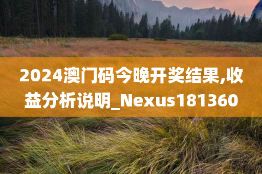 2024澳门码今晚开奖结果,收益分析说明_Nexus181360